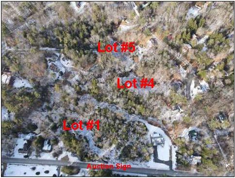 (3) Residential Lots in Planned Unit Development Auction Photo