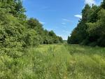 (7) Commercial/Industrial Lots - 42.12+/- Acres Total - Selling as an Entirety Auction Photo