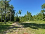 3BR Cape Home - Com’l Garage - Rental Home - 25.19+/- Acres – Fields Auction Photo