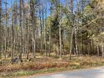 7.08+/- Acre Residential Land Parcel “Cranberry Ridge” Auction Photo