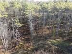 7.08+/- Acre Residential Land Parcel “Cranberry Ridge” Auction Photo