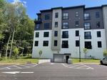 45-Unit Luxury Residential Complex “The Mark at Cumberland Foreside” Auction Photo