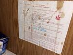 3BR Double Wide Home – 5.38+/- Acres Auction Photo
