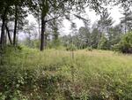 3BR Cape Home – 1.72+/- Acres Auction Photo