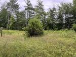 3BR Cape Home – 1.72+/- Acres Auction Photo