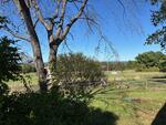 3BR New Englander Style Home Mountain Views - .76+/- Acres Auction Photo