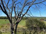 3BR New Englander Style Home – Mountain Views - .76+/- Acres Auction Photo