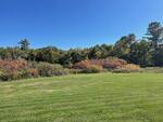 2-Family Home – 19.5+/- Acres  Auction Photo