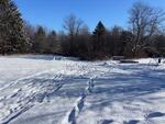 3BR Ranch Style Home  1.87+/- Acres Auction Photo