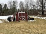 3BR Ranch Home - 1+/- Acres Auction Photo