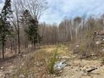 3BR Log Home, Garage, 3.9+/- Ac.. New Construction 90% Complete, Sunday River Mountain Views  Auction Photo