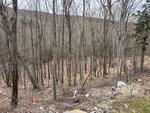 3BR Log Home, Garage, 3.9+/- Ac.. New Construction 90% Complete, Sunday River Mountain Views  Auction Photo