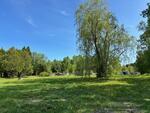 .69+/- Acre In Town Lot Auction Photo