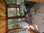 St Peter’s Country Store - (3) Homes - Apartment - Garages - 4.43+/-Acres Auction Photo