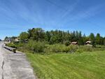 St Peter’s Country Store - (3) Homes - Apartment - Garages - 4.43+/-Acres Auction Photo