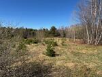 2,941+/-SF 4BR Ranch Home w/ In-Law Apartment – 12.18+/- Acres Auction Photo