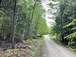 Spring Water Source - 357+/- Acres RE: Moon Tide Springs, Inc. Auction Photo