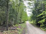 Spring Water Source - 357+/- Acres RE: Moon Tide Springs, Inc. Auction Photo