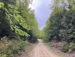 Spring Water Source - 357+/- Acres RE: Moon Tide Springs, Inc. Auction Photo