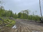 Spring Water Source - 357+/- Acres RE: Moon Tide Springs, Inc. Auction Photo