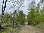 Spring Water Source - 357+/- Acres RE: Moon Tide Springs, Inc. Auction Photo
