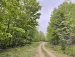 Spring Water Source - 357+/- Acres RE: Moon Tide Springs, Inc. Auction Photo
