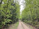 Spring Water Source - 357+/- Acres RE: Moon Tide Springs, Inc. Auction Photo