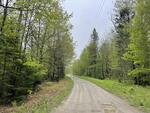 Spring Water Source - 357+/- Acres RE: Moon Tide Springs, Inc. Auction Photo