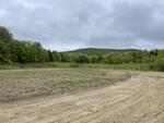 Spring Water Source - 357+/- Acres RE: Moon Tide Springs, Inc. Auction Photo