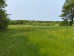  20,684+/- SF Manufacturing/Warehouse Building - 30.13+/- Acres  Auction Photo