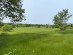  20,684+/- SF Manufacturing/Warehouse Building - 30.13+/- Acres  Auction Photo