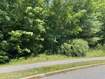 13.27+/- Acre Residential Development Parcel Adjacent to Presumpscot River Preserve Auction Photo