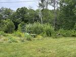 4BR Colonial Style Home - 10+/- Acres Auction Photo