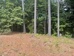 2BR Cape Style Home - 1+/- Acres Auction Photo