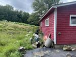 2BR Cottage - .73+/- Acres Auction Photo