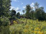Ranch Style Home, 3.81+/- Acres Auction Photo