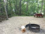 46.25+/- Acre Luxury Camping Resort RE: Sandy Pines Campground Auction Photo