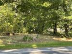 2BR Home - Crystal Lake - 220'+/- Shore Frontage Auction Photo