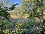2BR Home - Crystal Lake - 220'+/- Shore Frontage Auction Photo
