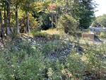 2BR Home - Crystal Lake - 220'+/- Shore Frontage Auction Photo