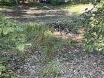 2BR Home - Crystal Lake - 220'+/- Shore Frontage Auction Photo