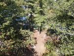 2BR Home - Crystal Lake - 220'+/- Shore Frontage Auction Photo