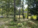 Multi-Family Home  9.71+/- Acres Auction Photo