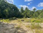 Multi-Family Home  9.71+/- Acres Auction Photo