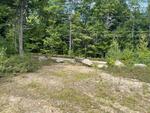 Multi-Family Home  9.71+/- Acres Auction Photo