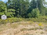 Multi-Family Home  9.71+/- Acres Auction Photo