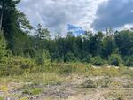 Multi-Family Home  9.71+/- Acres Auction Photo