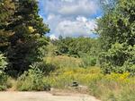 Multi-Family Home  9.71+/- Acres Auction Photo