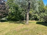 3BR Ranch Style Home - .29+/- Acres Auction Photo