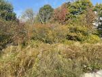 .76+/- Acre Lot Auction Photo